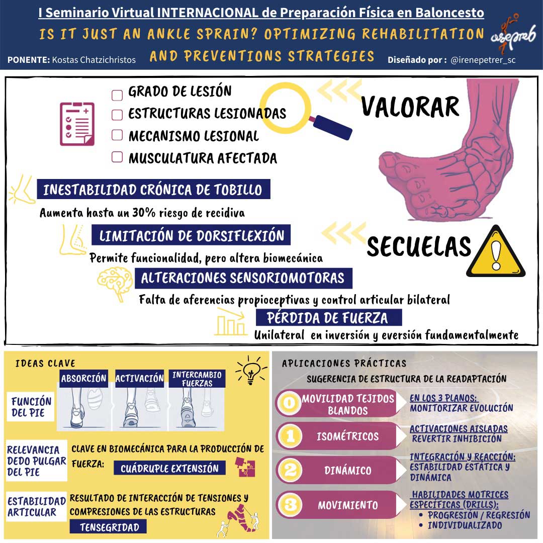 Infografía. Is it just an ankle sprain? Optimizing rehabilitation and preventions strategies