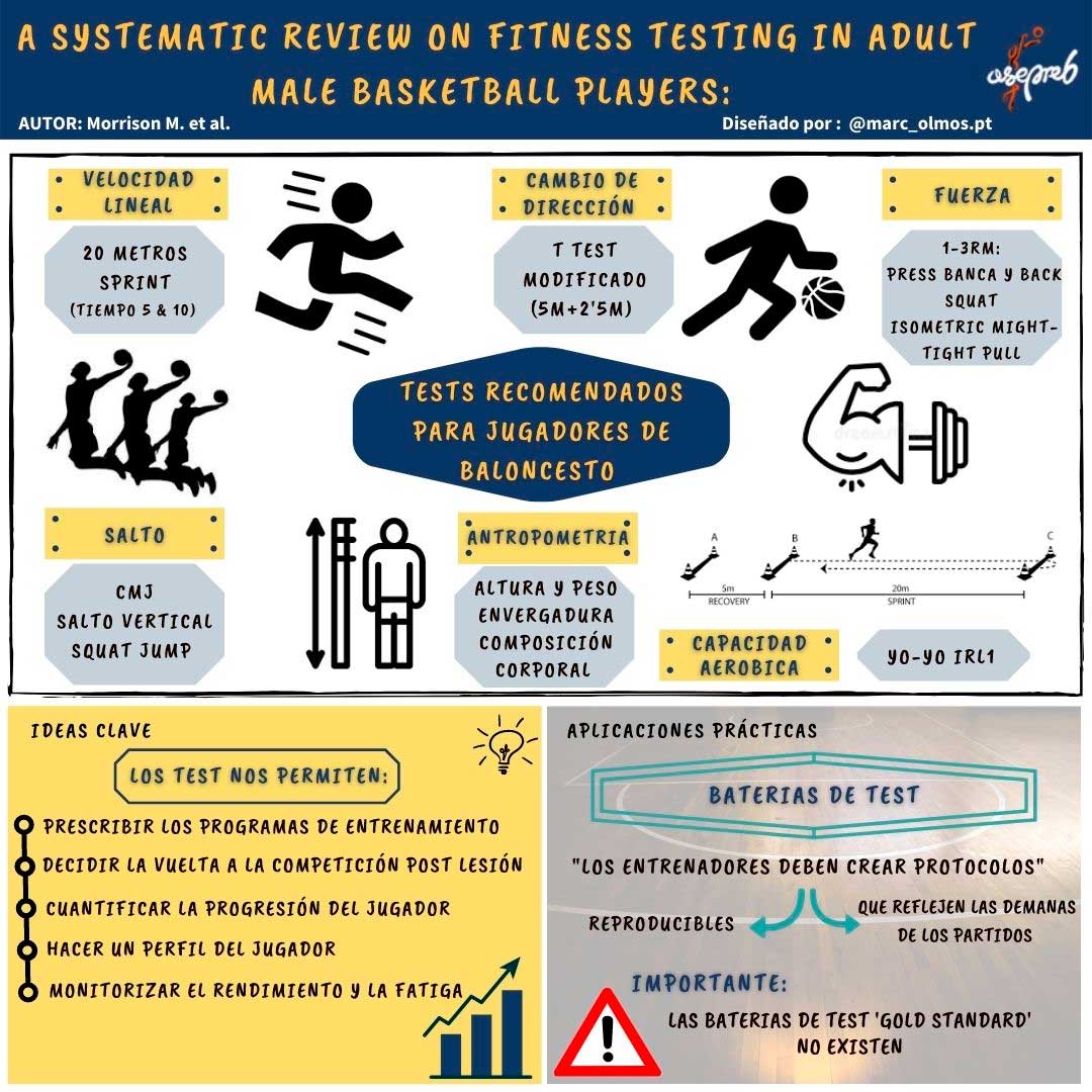 Infografía. A systematic review on fitness testing in adult male basketball players